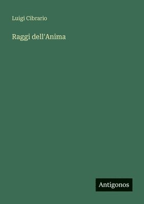 bokomslag Raggi dell'Anima