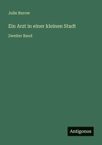 bokomslag Ein Arzt in einer kleinen Stadt: Zweiter Band