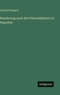 bokomslag Wanderung nach den Natronklöstern in Aegypten