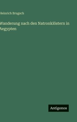 bokomslag Wanderung nach den Natronklöstern in Aegypten