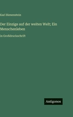 bokomslag Der Einzige auf der weiten Welt; Ein Menschenleben: in Großdruckschrift