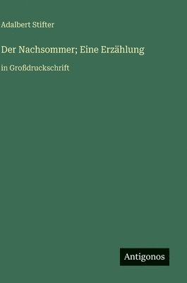 bokomslag Der Nachsommer; Eine Erzählung:in Großdruckschrift