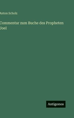 bokomslag Commentar zum Buche des Propheten Joel
