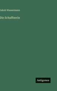 bokomslag Die Schaffnerin