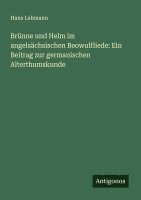 bokomslag Brünne und Helm im angelsächsischen Beowulfliede: Ein Beitrag zur germanischen Alterthumskunde