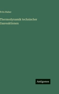 Thermodynamik technischer Gasreaktionen