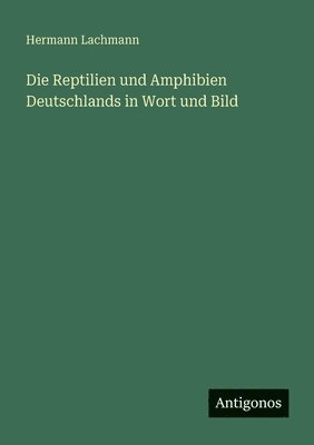 Hermann Lachmann - Reptilien und Amphibien Deutschlands in Wort und Bild, Häftad