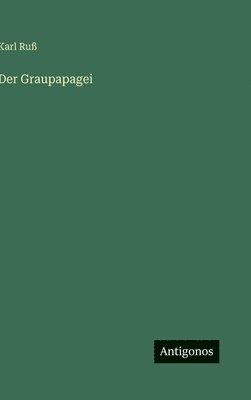 Graupapagei