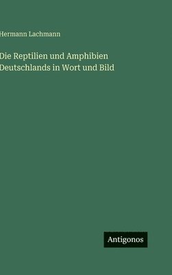 Hermann Lachmann - Reptilien und Amphibien Deutschlands in Wort und Bild, Inbunden