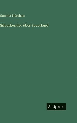 Silberkondor über Feuerland