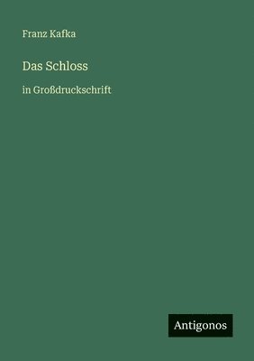 Franz Kafka - Schloss, Häftad