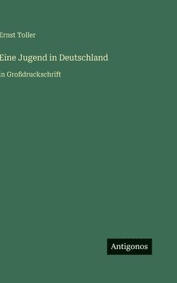 Ernst Toller - Eine Jugend in Deutschland, Inbunden