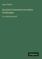 Agnes Sapper - kleine Dummerle und andere Erzählungen, Inbunden
