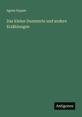 Agnes Sapper - kleine Dummerle und andere Erzählungen, Häftad