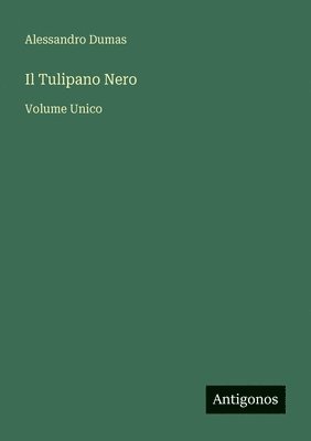 Tulipano Nero