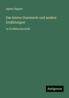 Agnes Sapper - kleine Dummerle und andere Erzählungen, Häftad
