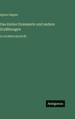 Agnes Sapper - kleine Dummerle und andere Erzählungen, Inbunden