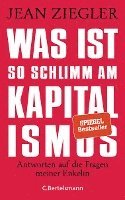 bokomslag Was ist so schlimm am Kapitalismus?