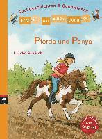 bokomslag Pferde Und Ponys