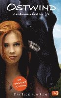 Carola Wimmer - Ostwind, Inbunden