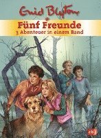 Fünf Freunde. Sammelband 01