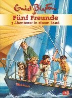 bokomslag Fünf Freunde. Sammelband 02