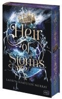 bokomslag Heir of Storms