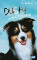 Dusty - Freunde fürs Leben 1