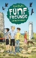 bokomslag Fünf Freunde 06. Fünf Freunde auf der Felseninsel