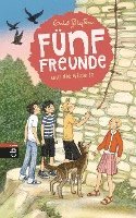 Enid Blyton - Fünf Freunde und die wilde Jo, Inbunden