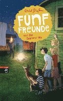 bokomslag Fünf Freunde und der Zauberer Wu