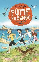bokomslag Fünf Freunde meistern jede Gefahr