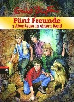 Fünf Freunde - 3 Abenteuer in einem Band 1