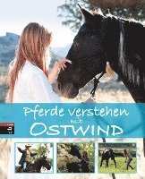 bokomslag Pferde verstehen mit Ostwind