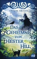 bokomslag Das Geheimnis von Hester Hill