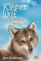 bokomslag Kleiner Wolf