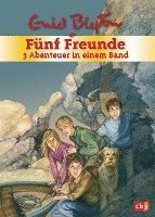 Fünf Freunde - 3 Abenteuer in einem Band 1