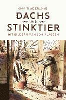 Dachs und Stinktier 1