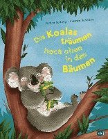 Die Koalas träumen hoch oben in den Bäumen 1