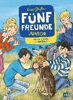 bokomslag Fünf Freunde JUNIOR - Unser Timmy ist der Beste