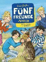 Enid Blyton - Fünf Freunde JUNIOR - Unser Timmy ist der Beste, Inbunden