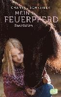 Mein Feuerpferd - Sturmfohlen