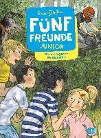 Enid Blyton - Fünf Freunde JUNIOR - Ein aufregender Waldausflug, Inbunden