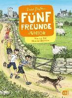 bokomslag Fünf Freunde JUNIOR - Timmy, der Meisterdetektiv