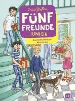 bokomslag Fünf Freunde JUNIOR - Das Geburtstags-Abenteuer