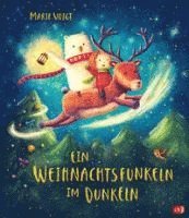 bokomslag Ein Weihnachtsfunkeln im Dunkeln