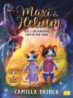 bokomslag Maxi & Helium - Das magische Loch in der Wand