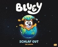 bokomslag BLUEY - Schlaf gut