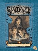 Holly Black - Die Spiderwick Geheimnisse 01 - Eine unglaubliche Entdeckung, Häftad