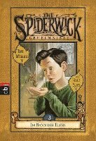 bokomslag Die Spiderwick Geheimnisse 03 - Im Bann der Elfen